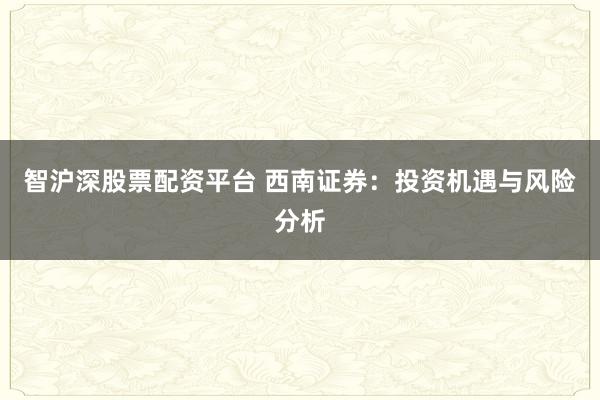 智沪深股票配资平台 西南证券：投资机遇与风险分析