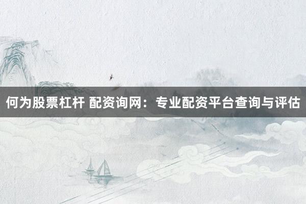 何为股票杠杆 配资询网：专业配资平台查询与评估