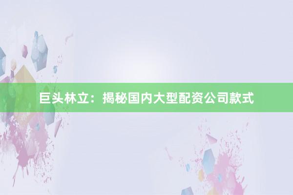 巨头林立：揭秘国内大型配资公司款式