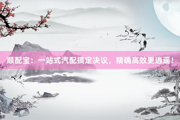 顺配宝：一站式汽配搞定决议，精确高效更逍遥！