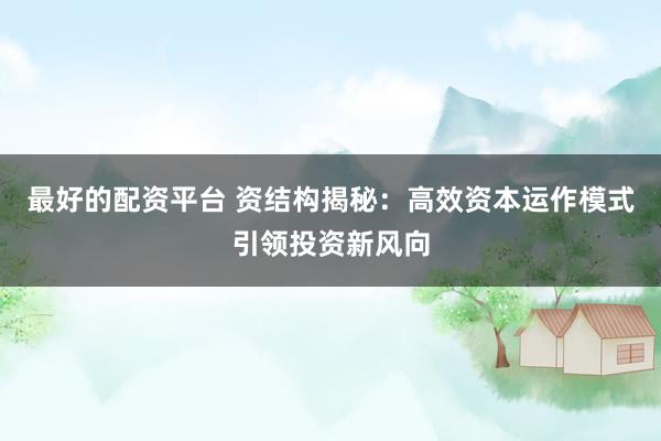 最好的配资平台 资结构揭秘：高效资本运作模式引领投资新风向