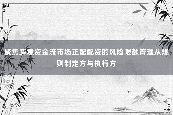 聚焦跨境资金流市场正配配资的风险限额管理从规则制定方与执行方
