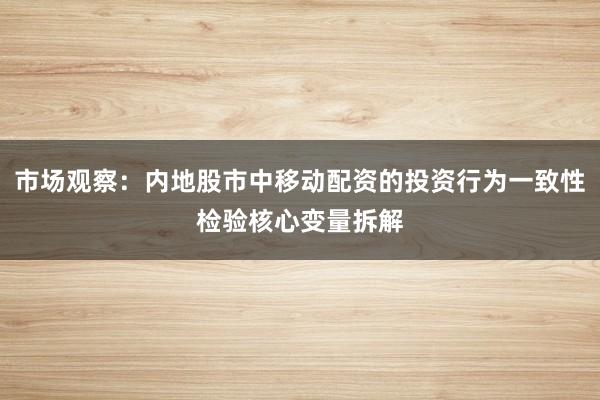 市场观察：内地股市中移动配资的投资行为一致性检验核心变量拆解