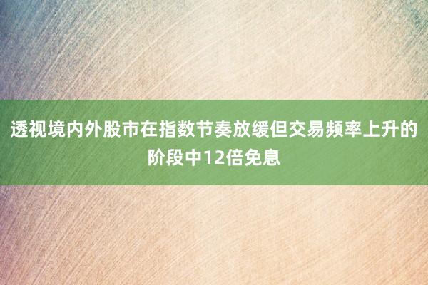 透视境内外股市在指数节奏放缓但交易频率上升的阶段中12倍免息