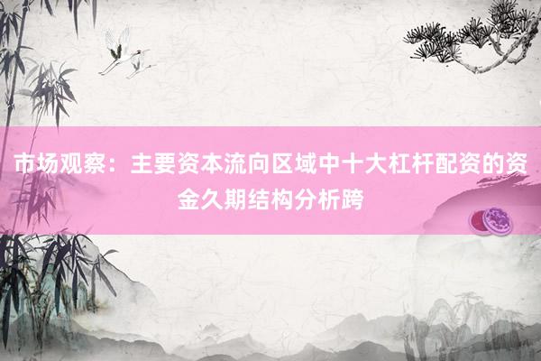 市场观察：主要资本流向区域中十大杠杆配资的资金久期结构分析跨
