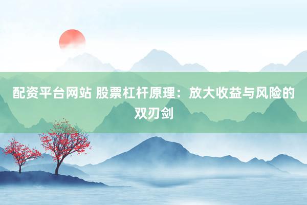 配资平台网站 股票杠杆原理：放大收益与风险的双刃剑
